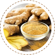 Ginger Extract